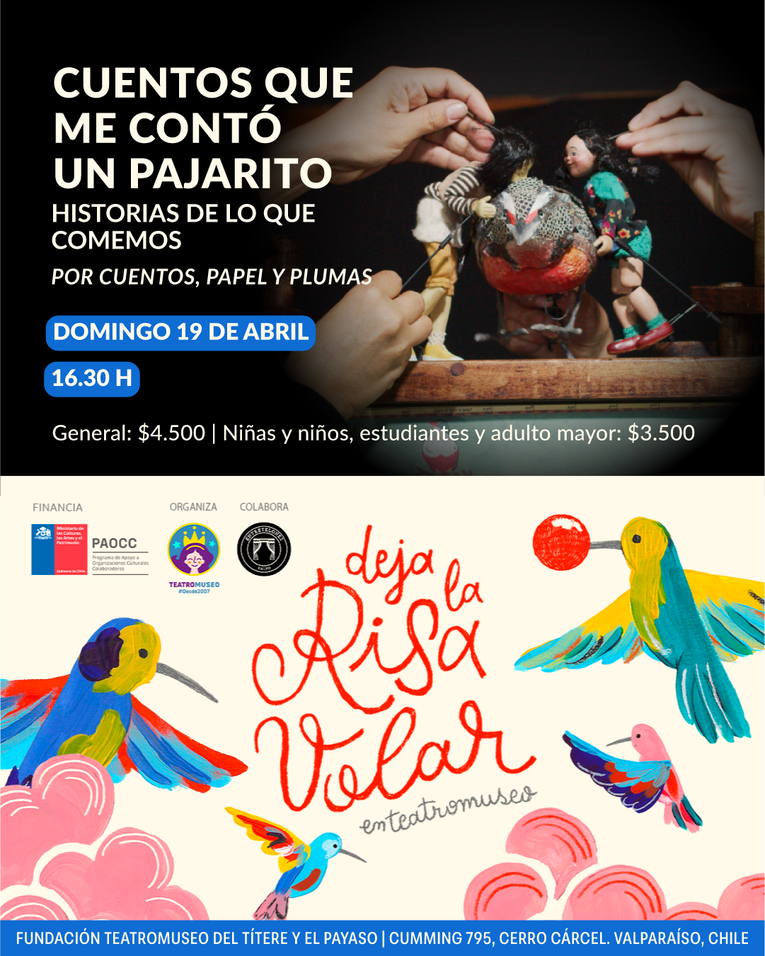 Cuentos que me contó un pajarito